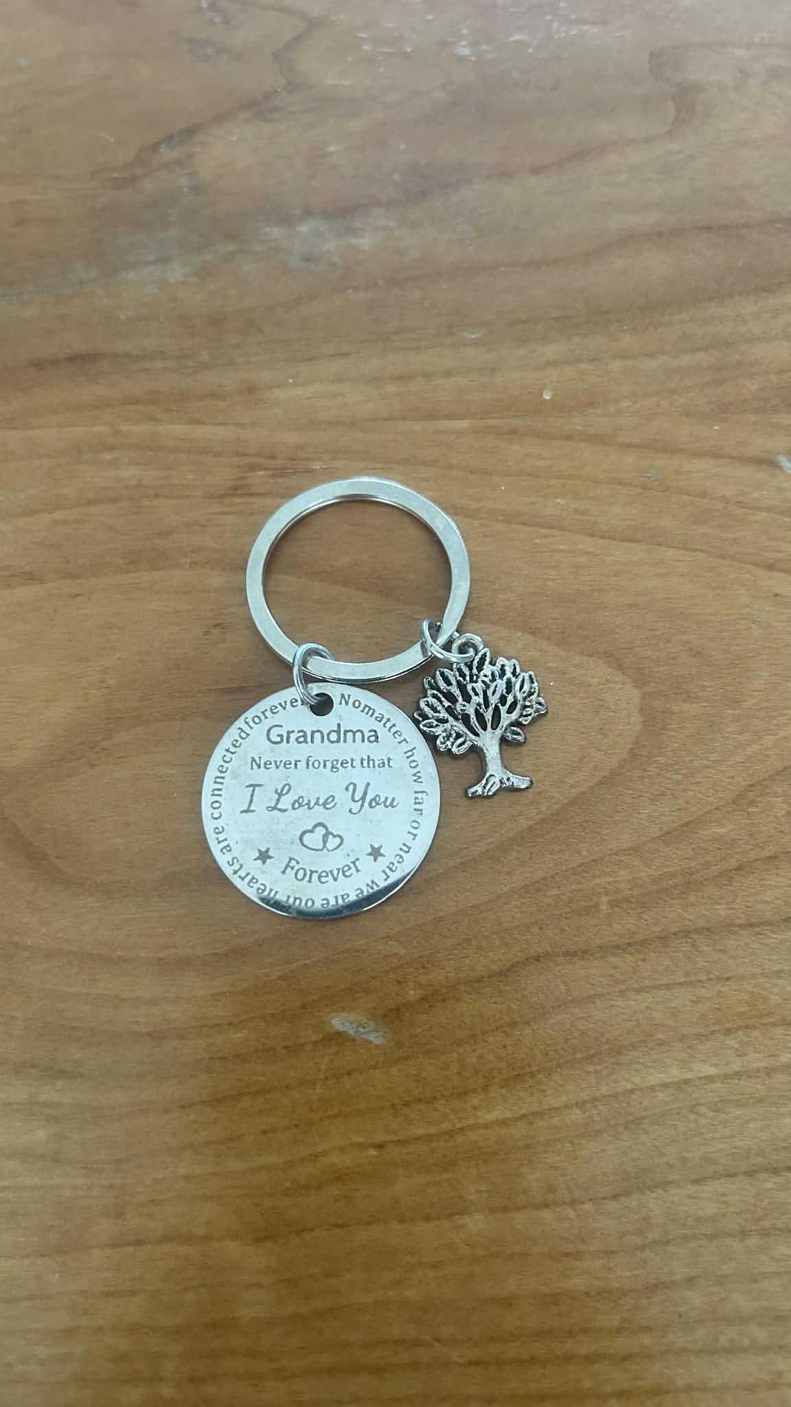 Stainless Steel Keyring