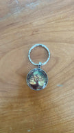 Stainless Steel Keyring