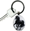 Stainless Steel Keyring