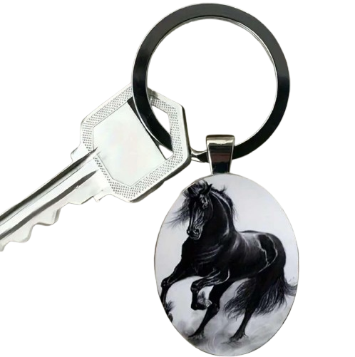 Stainless Steel Keyring